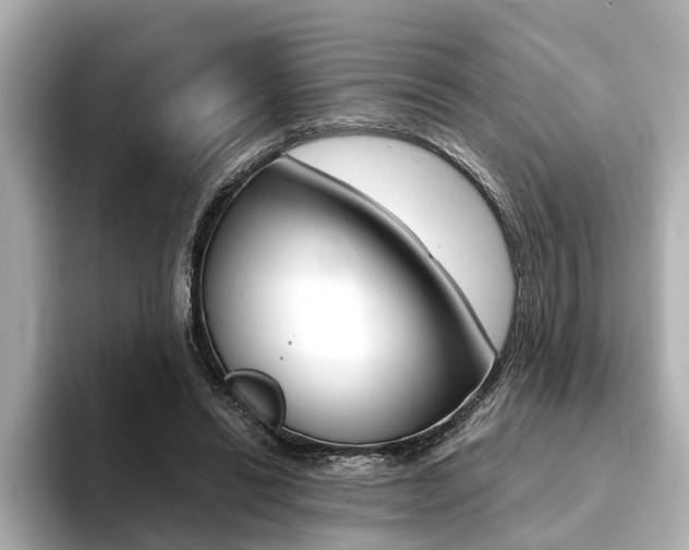 X0000094370446200711020756
