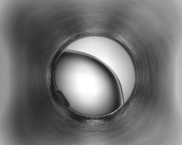 X0000094370448200711020756