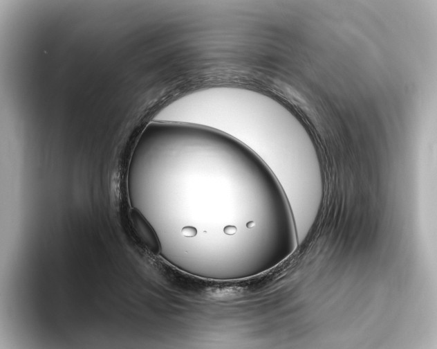 X0000094370452200711020757