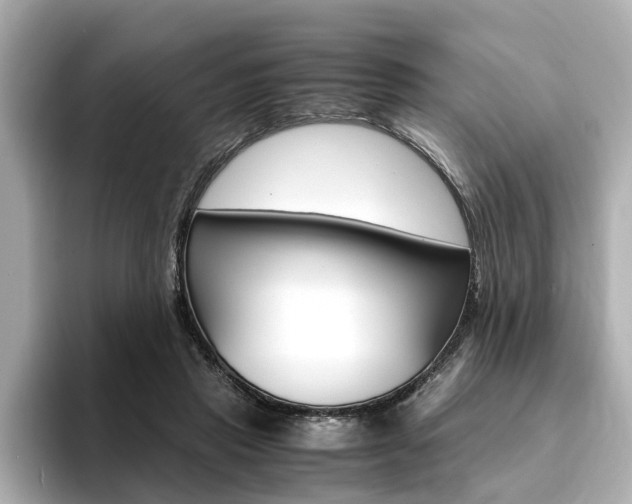 X0000094370453200711020757