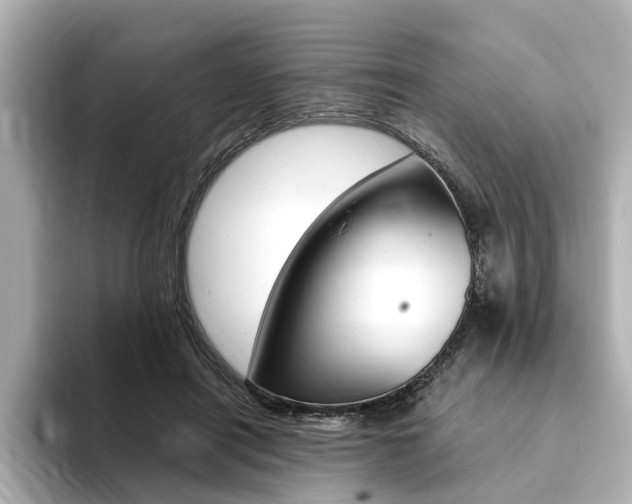 X0000094370454200711020757
