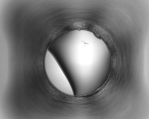 X0000094370457200711020757