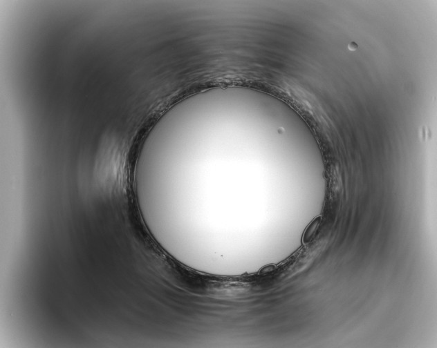 X0000094370463200711020757