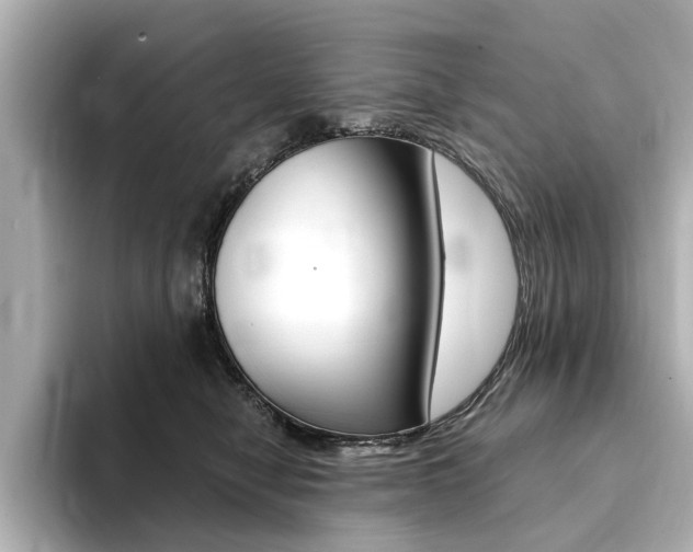 X0000094370470200711020757