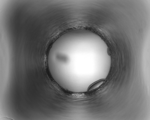 X0000094370480200711020757