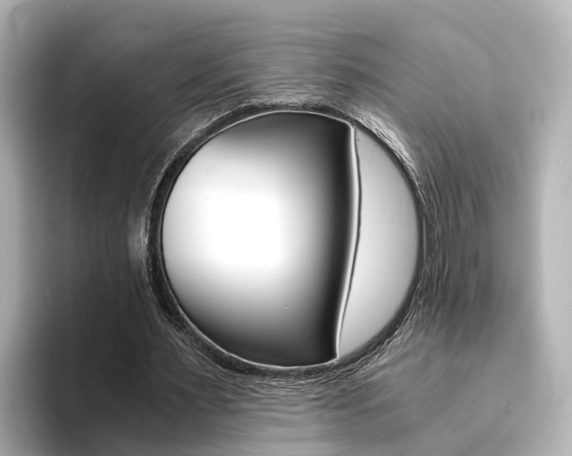 X0000094370483200711020756