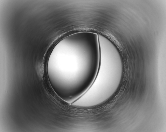 X0000094370484200711020756