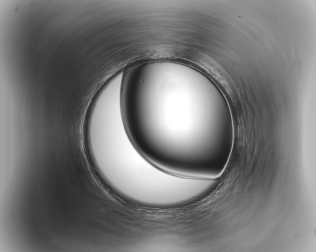 X0000094370485200711020756