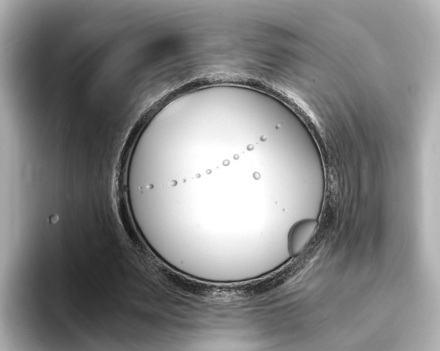 X0000094370487200711020756