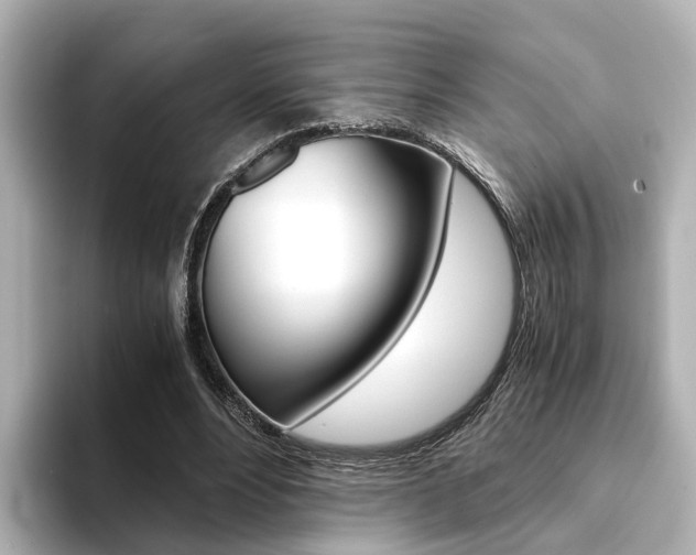 X0000094370488200711020756