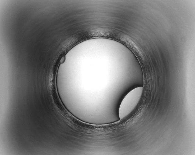 X0000094370490200711020756