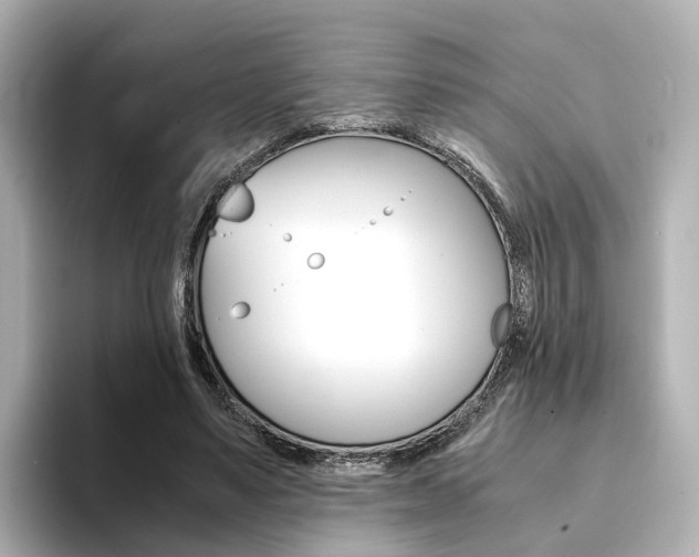 X0000094370491200711020756