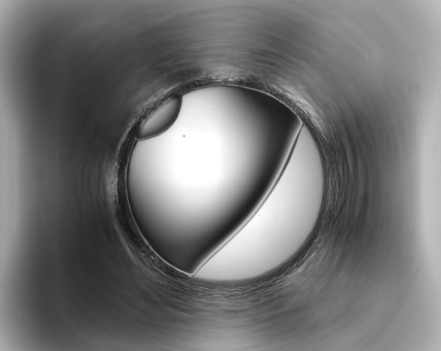 X0000094370492200711020756