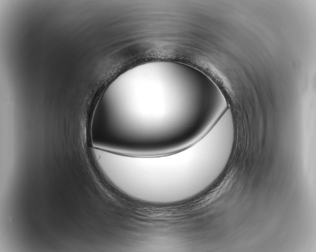 X0000094370493200711020756