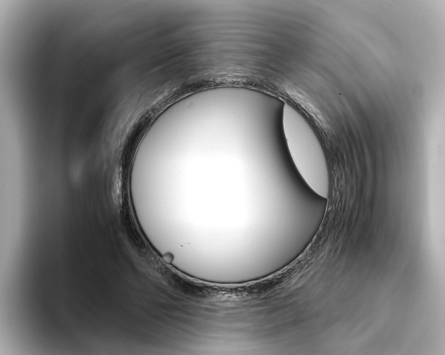 X0000094370494200711020756