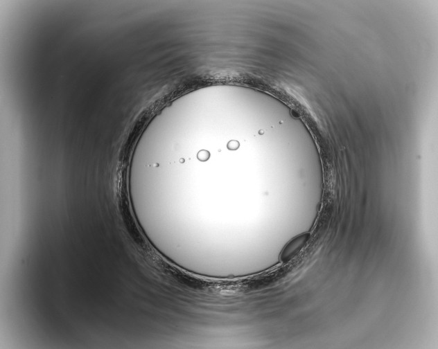 X0000094370495200711020756