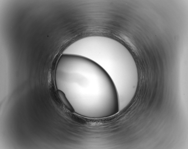 X0000094370500200711020756