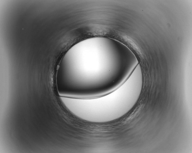X0000094370501200711020756