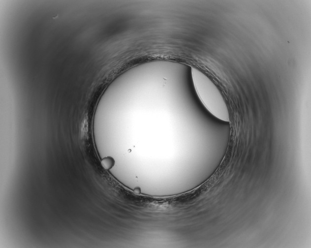 X0000094370502200711020756