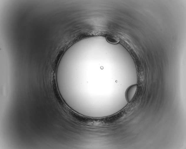 X0000094370503200711020756