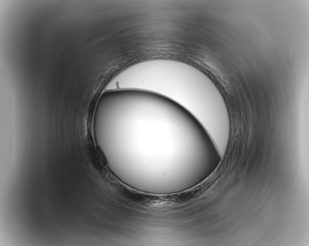 X0000094370504200711020756