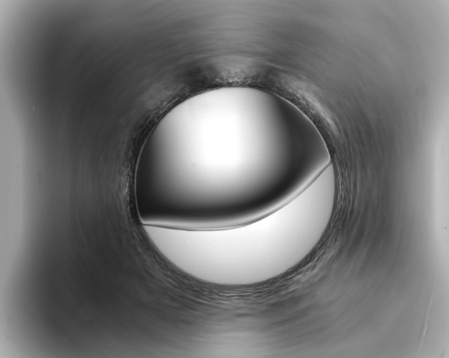 X0000094370505200711020756