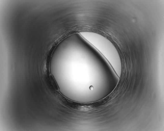 X0000094370508200711020756