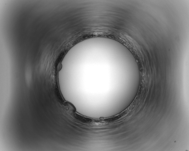 X0000094370510200711020756