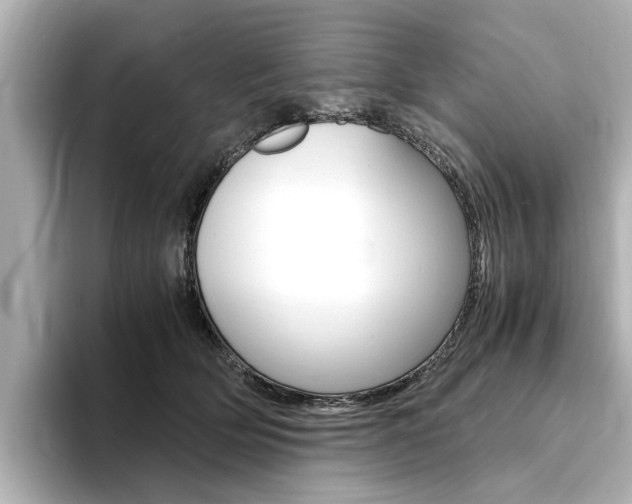 X0000094370514200711020756