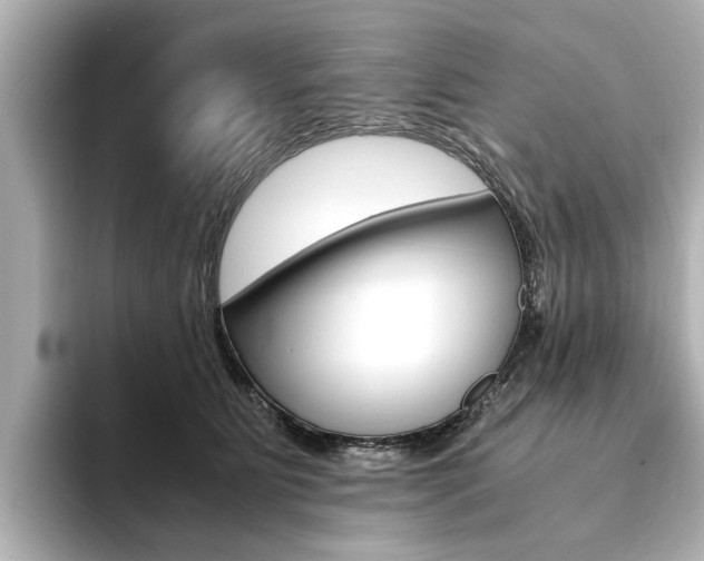 X0000094370515200711020756