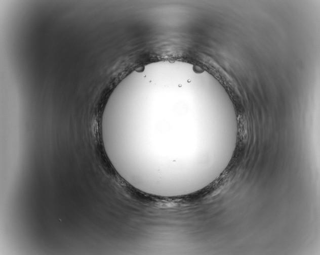X0000094370523200711020756