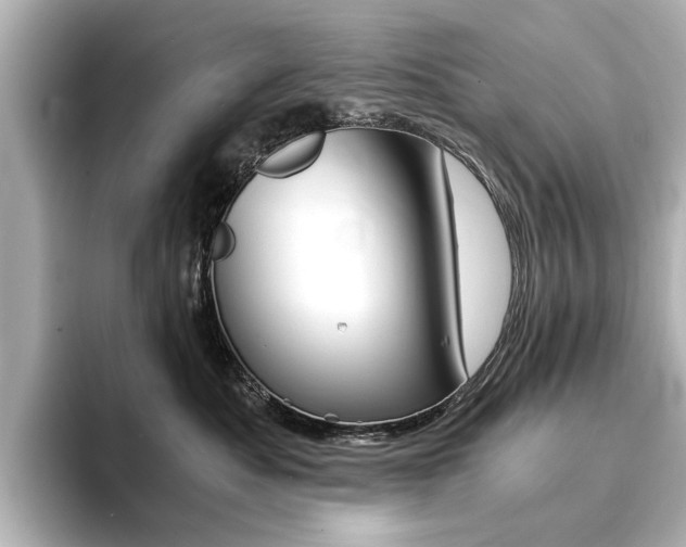X0000094370525200711020756