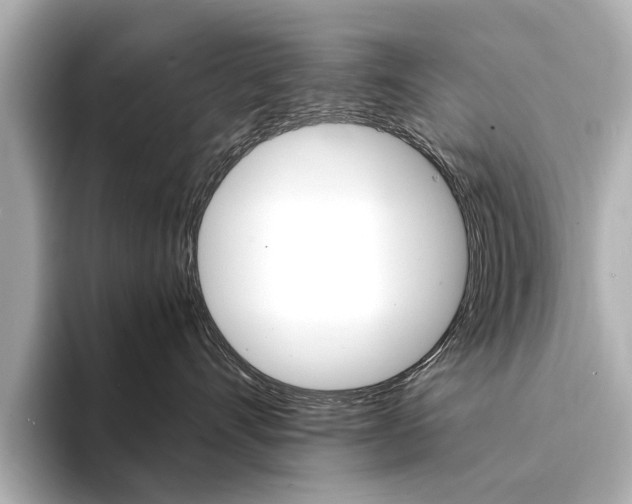 X0000094370528200711020756