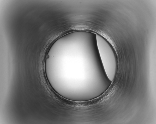 X0000094370529200711020755