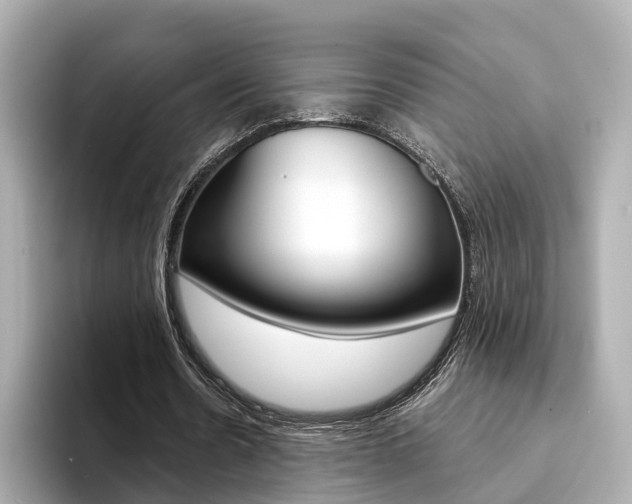 X0000094370530200711020755