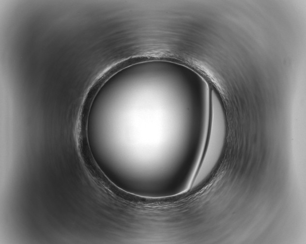 X0000094370532200711020755