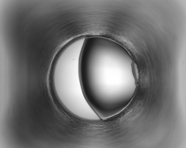 X0000094370536200711020755