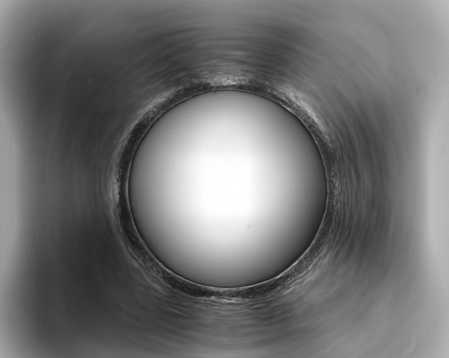 X0000094370539200711020755