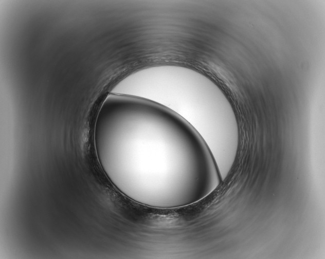 X0000094370548200711020755
