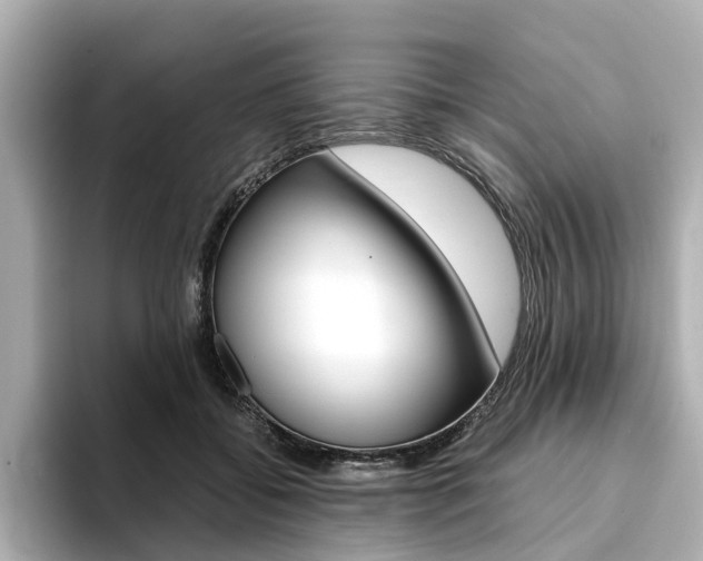 X0000094370556200711020755