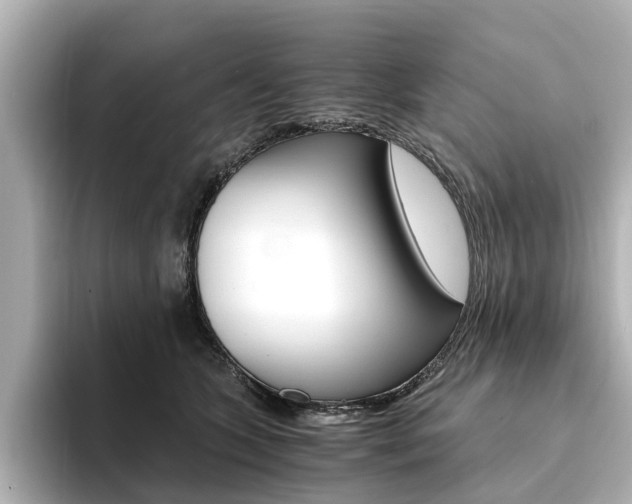 X0000094370563200711020755