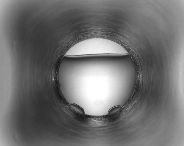 X0000094370567200711020756