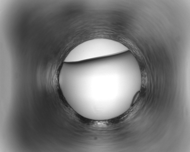 X0000094370573200711020756