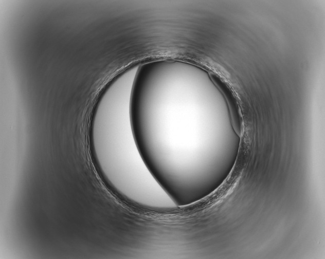 X0000094370577200711020755