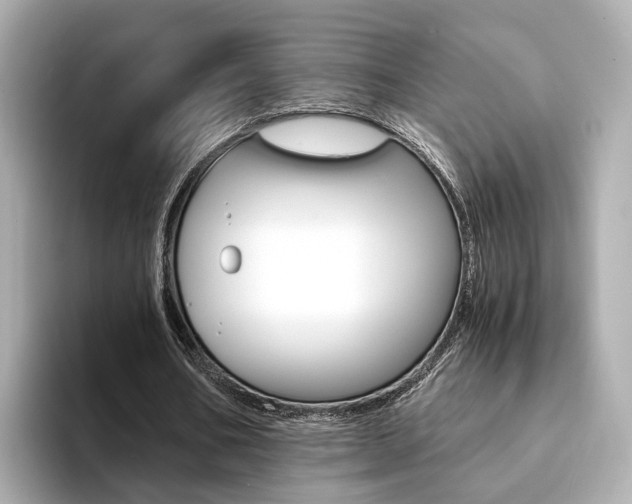 X0000094370578200711020755