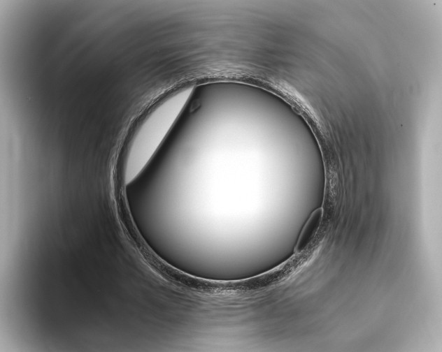 X0000094370581200711020755