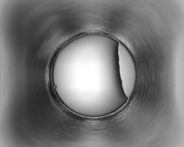 X0000094370582200711020755