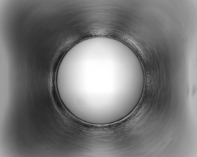 X0000094370586200711020755