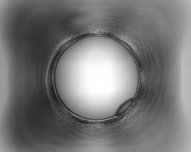 X0000094370587200711020755