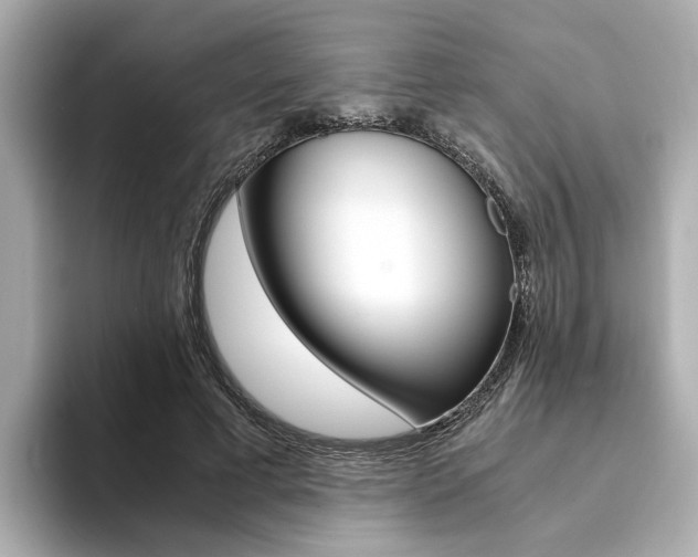 X0000094370593200711020755
